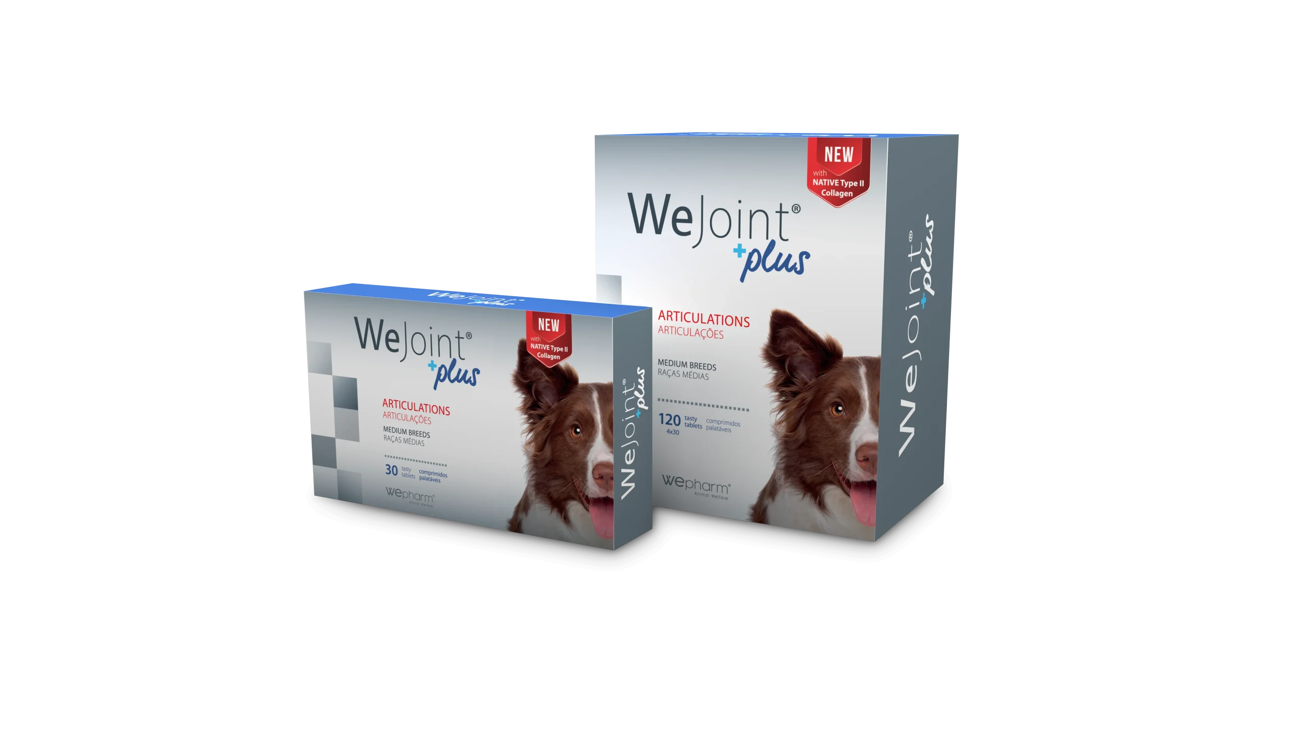 WeJoint Plus