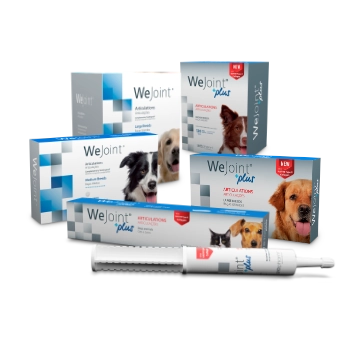 See the joint care range.
