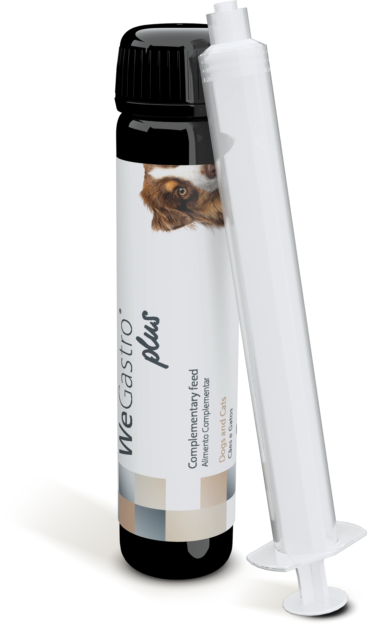 WeGastro Plus